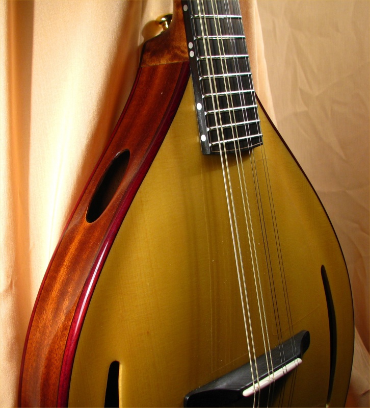 laughlin mandolin